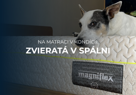 Na matraci v kondícii: Je dobrý nápad, aby s nami spali miláčikovia v posteli? Na matraci v kondícii: Je dobrý nápad, aby s nami spali miláčikovia v posteli?